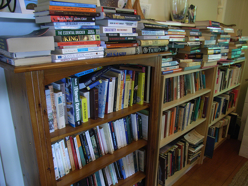 Bookshelf 2